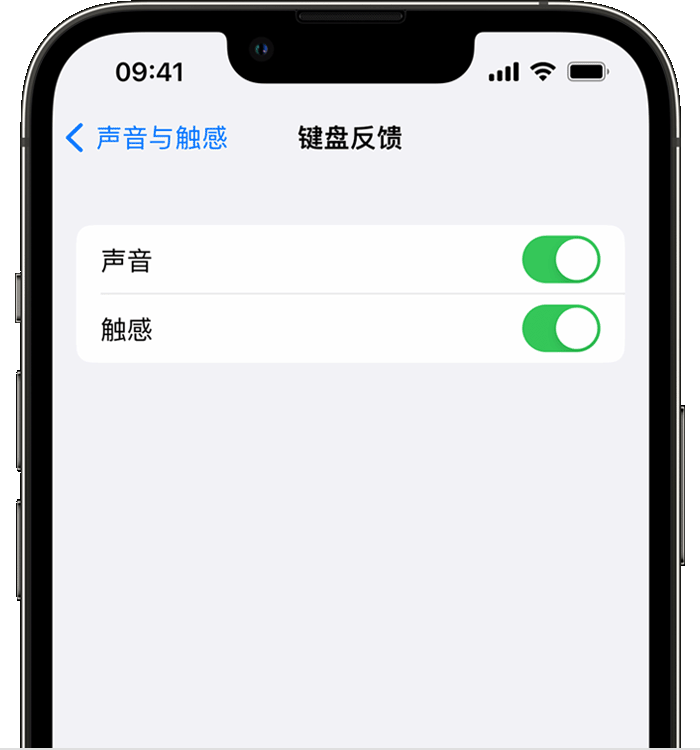 郊区苹果14维修分享iPhone 14 系列机型如何开启键盘声音或触感反馈 