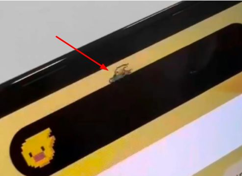 郊区苹果14维修分享iPhone 14 Pro Max灵动岛怎么养宠物 