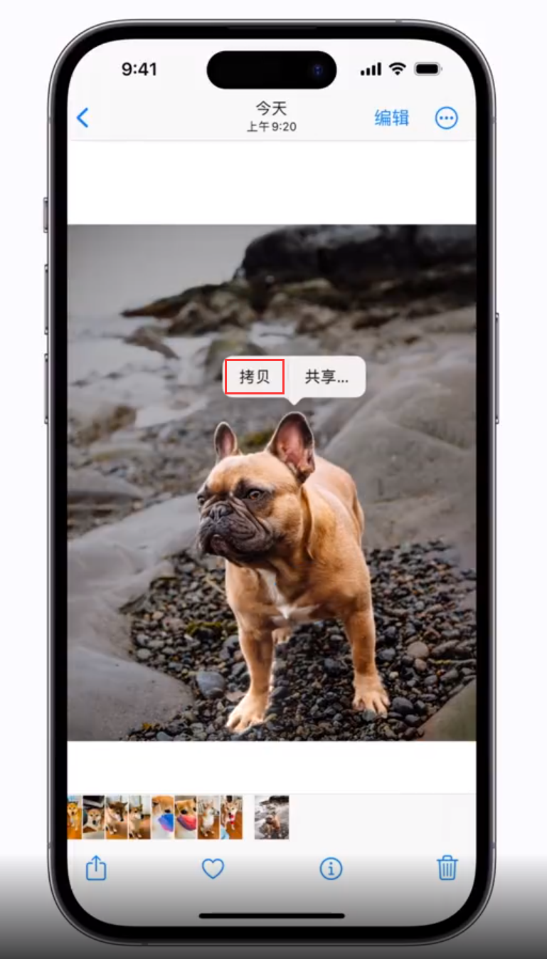 郊区苹果手机维修分享 iOS 16 自带一键抠图功能 