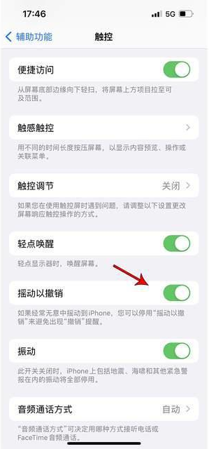 郊区苹果手机维修分享iPhone手机如何设置摇一摇删除文字 