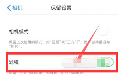 郊区苹果13维修分享iPhone13拍照有绿点是怎么回事 