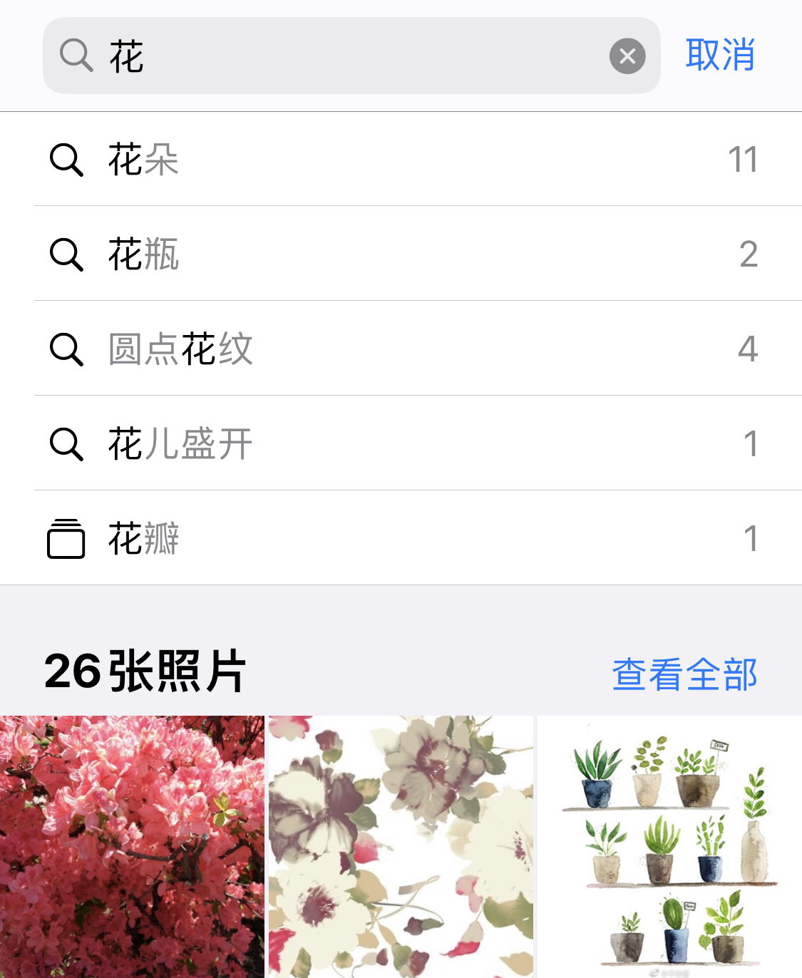 郊区苹果手机维修分享iPhone 小技巧 