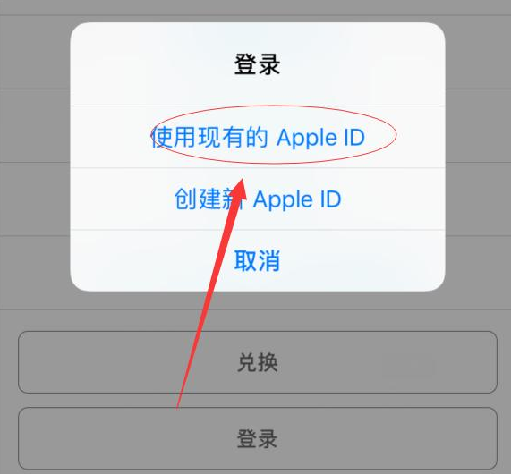 郊区苹果手机维修分享两台iPhone设备可以同时登录一个Apple ID吗 