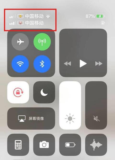 郊区苹果手机维修分享为 iPhone 12 双卡设置标签 