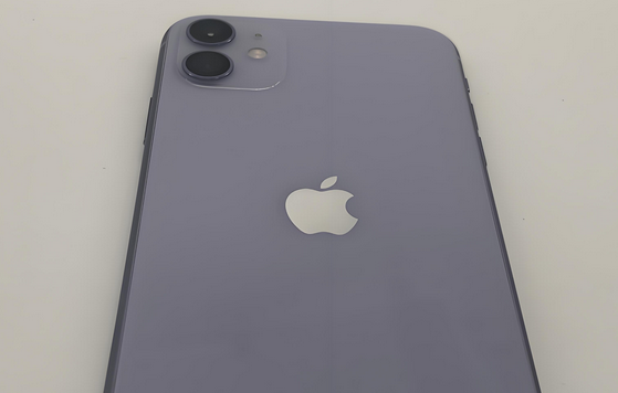 郊区苹果11系统维修分享iPhone11手机系统崩溃无法开机如何解决 