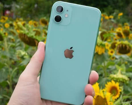 郊区苹果维修点分享iPhone 11锁屏密码认知与使用科普 